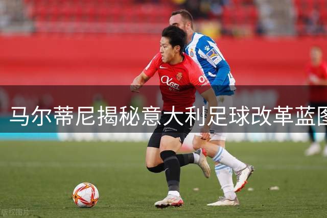 马尔蒂尼揭秘意大利足球改革蓝图：技术革命从青训抓起